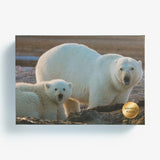 Polar Bear Puzzle by eyePOC
