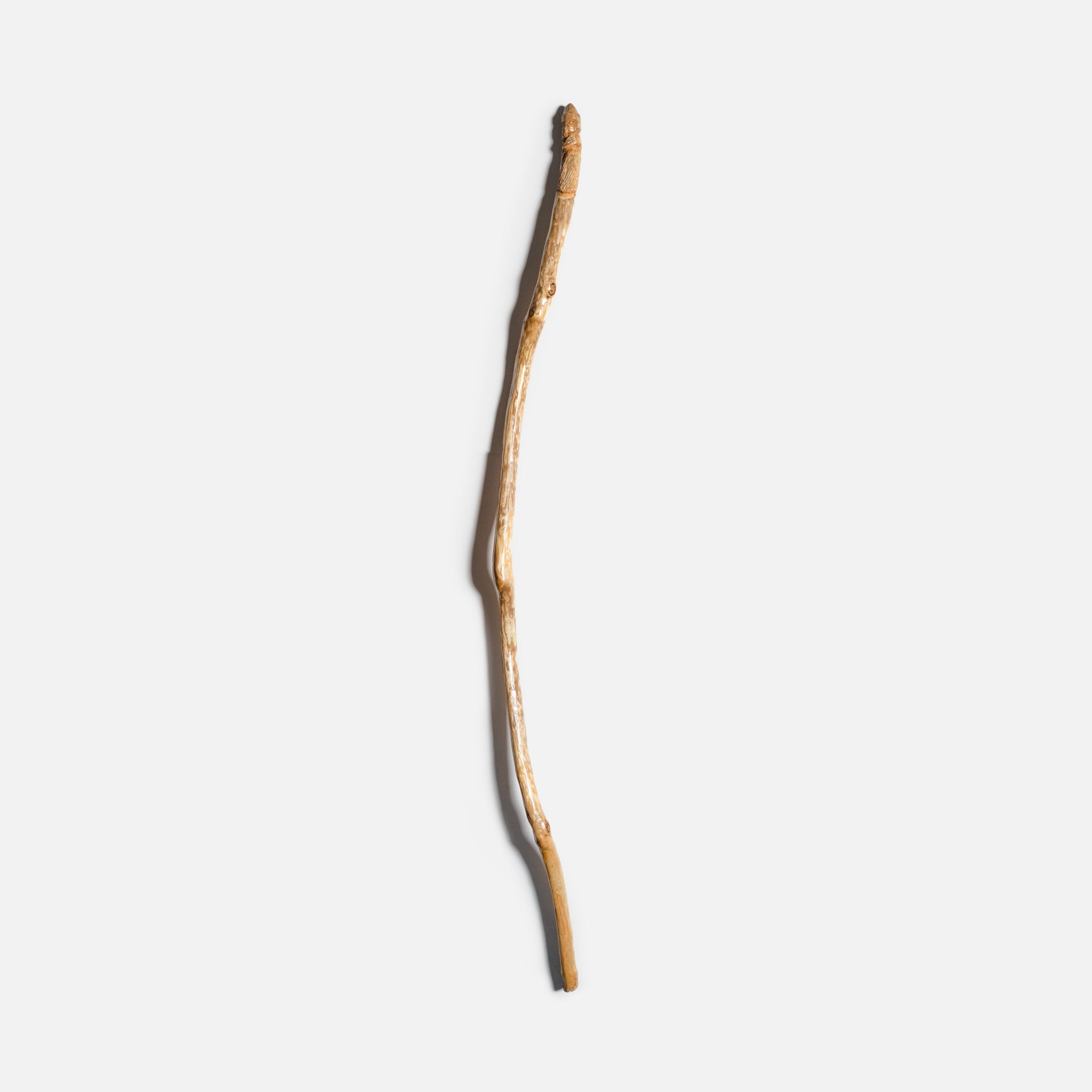 Carved Walking Sticks by Jay Clasen