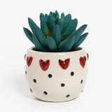 Mini Succulent Pot by Tracy Peche