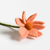 Cosmos Flower - Light Peach