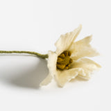 Poppy Flower - White