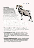 Self-Sufficiency: Spinning, Dyeing and Weaving