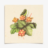 Multer Art Card by Mona Stenseth