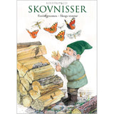 Forest Gnomes Note Cards by Peter Nielsen