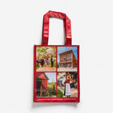Vesterheim Gift Bag