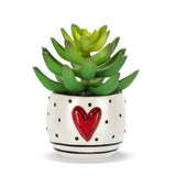 Mini Succulent Pot by Tracy Peche