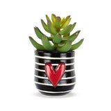 Mini Succulent Pot by Tracy Peche