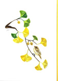 Ginko Card by Iconic Quilling
