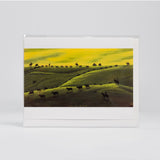 The Late Round Up By Lloyd Scarseth - Vesterheim Collection Card