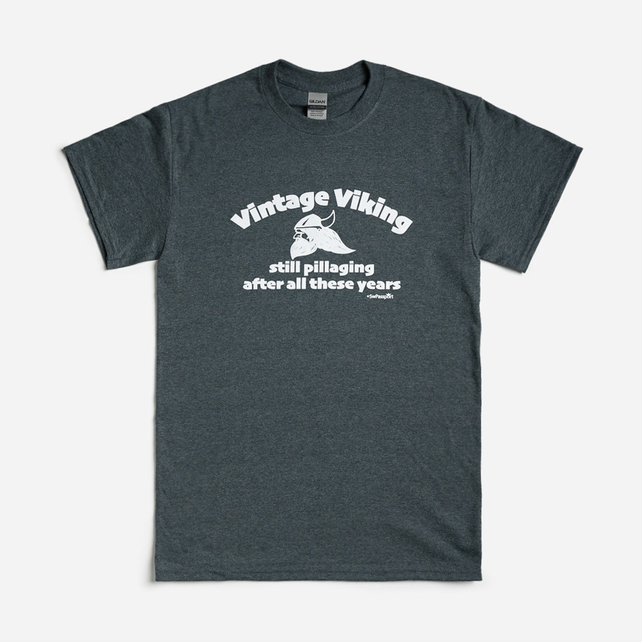 Vintage Viking T-Shirt